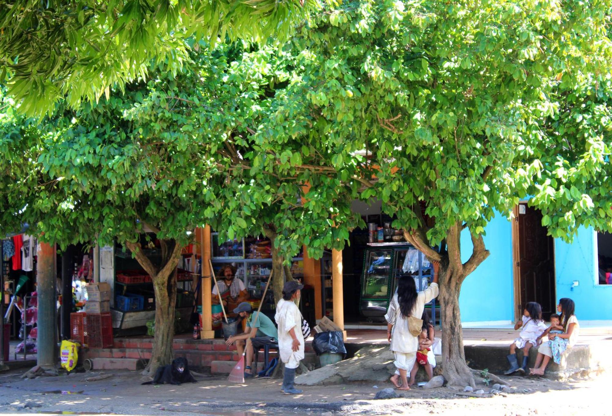Bella Flor Hostel Palomino Exteriér fotografie